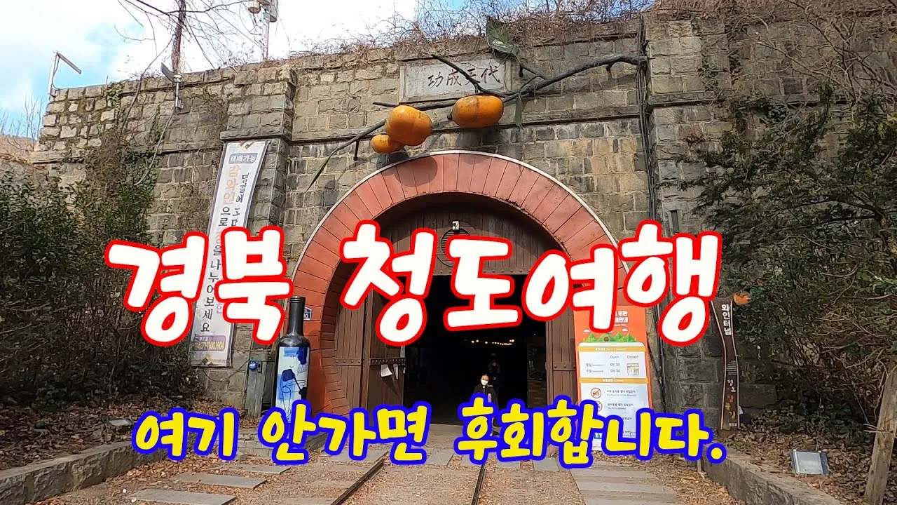 청도 여행 가볼만한곳 소싸움 경기장 입장료_1