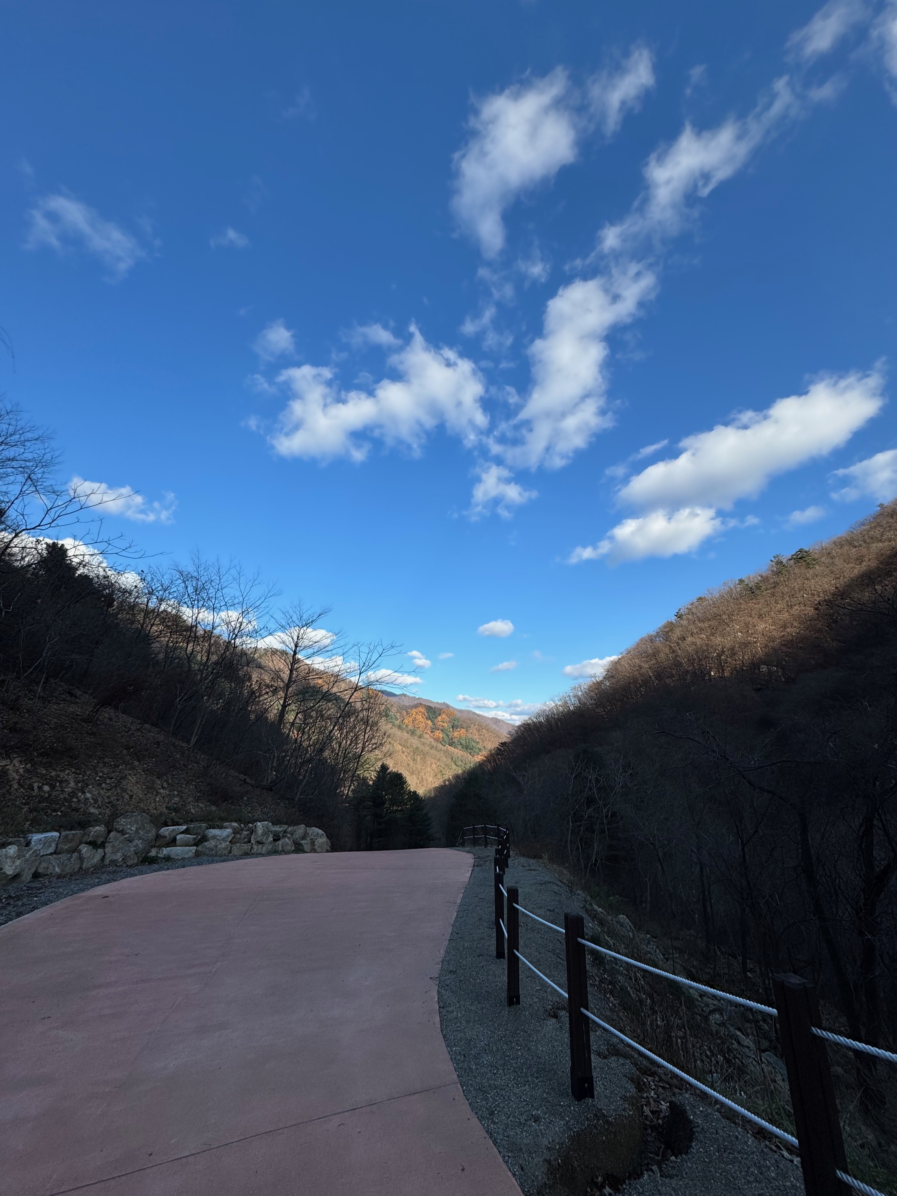명지산 하산길