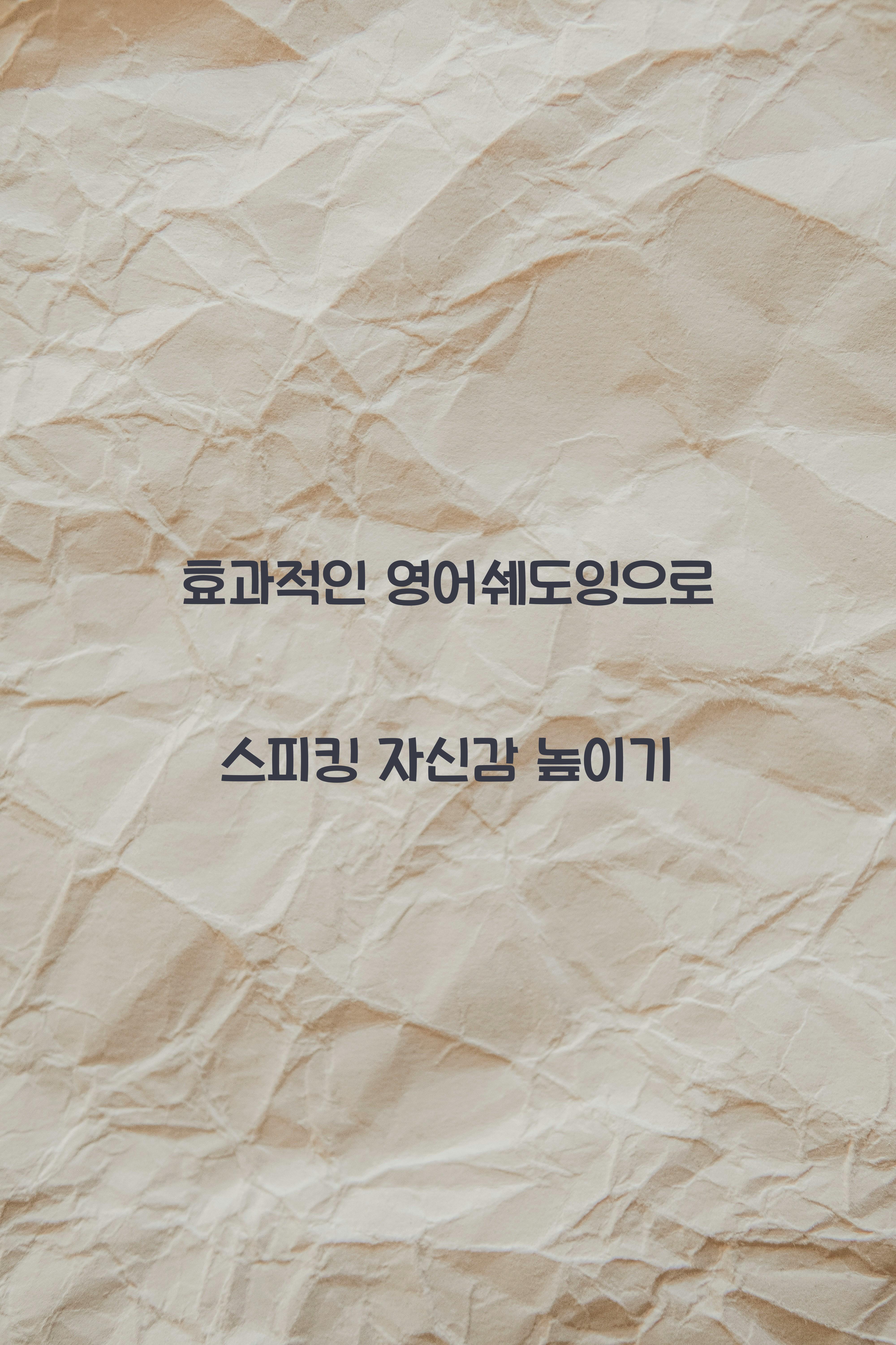 쉐도잉