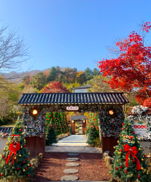 대룡산장