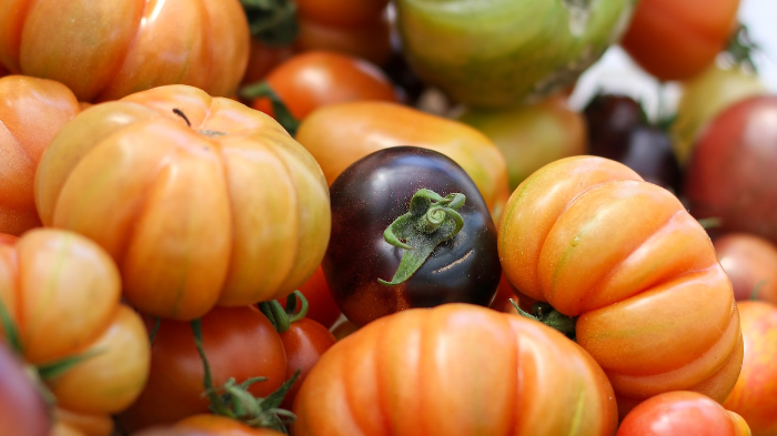 A Healthy and Balanced Diet 3