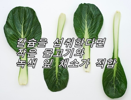  칼슘을 섭취한다면 작은 물고기와 녹색 잎 채소가 적합