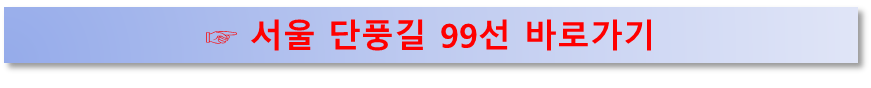 서울 단풍길 99선