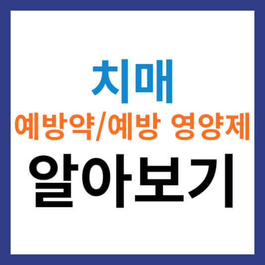 치매 예방약 및 치매예방 영양제 알아보기