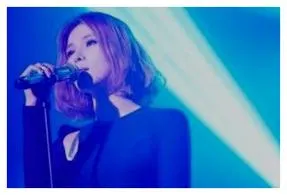 거미 노래모음