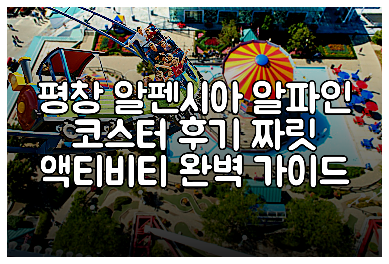 평창 알펜시아 알파인 코스터 후기 짜릿 액티비티 완벽 가이드