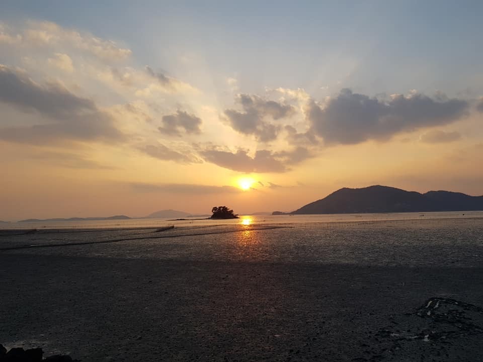 상상진화 이미지