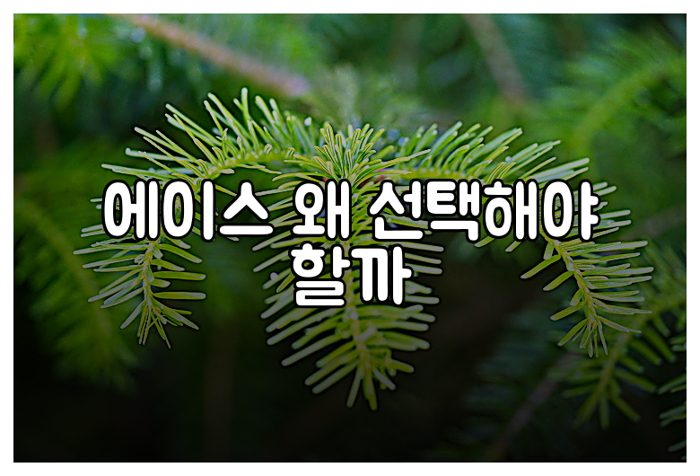 에이스 왜 선택해야 할까