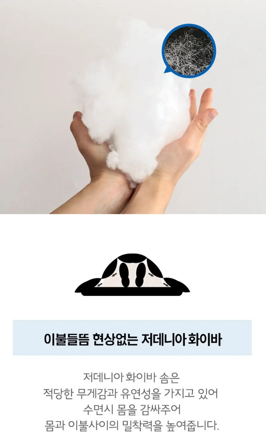 사진8
