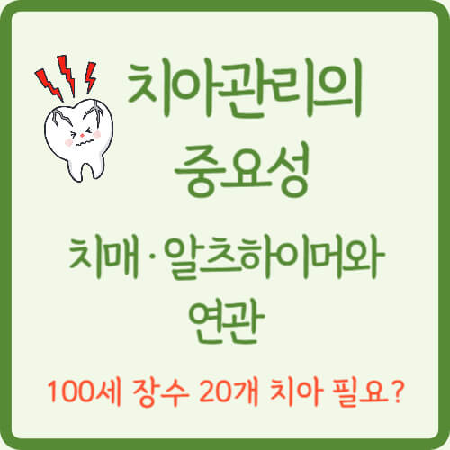  치아관리 중요성 - 치매 알츠하이머와도 연관