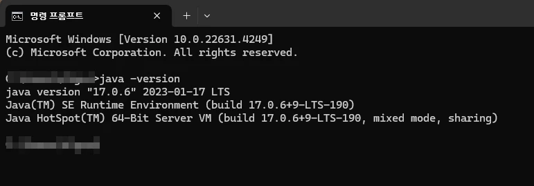 JDK 설치 여부 확인.