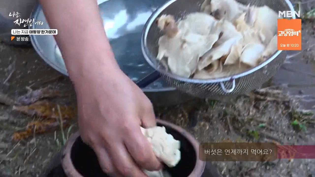 나는 자연인이다.E581.231123p-NEXT.mp4_20231123_200721.030.jpg