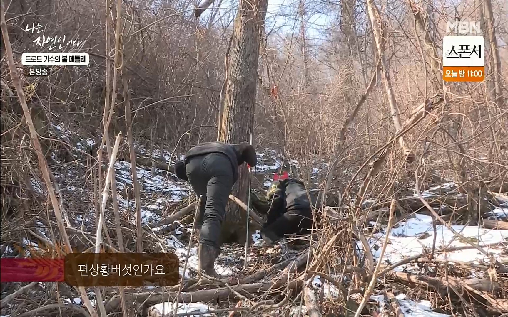 나는 자연인이다.E494.220323p.H264-F1RST.mp4_20220324_181948.905.jpg