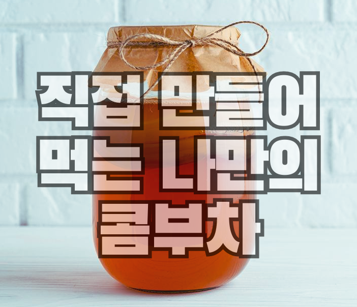 콤부차-효능-장점-카페인-다이어트-주의사항