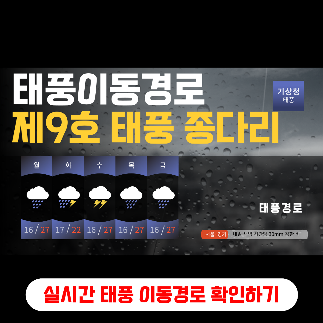 제9호태풍 종다리 실시간 위치 확인