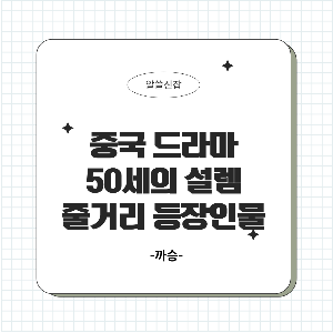 중국 드라마 50세의 설렘