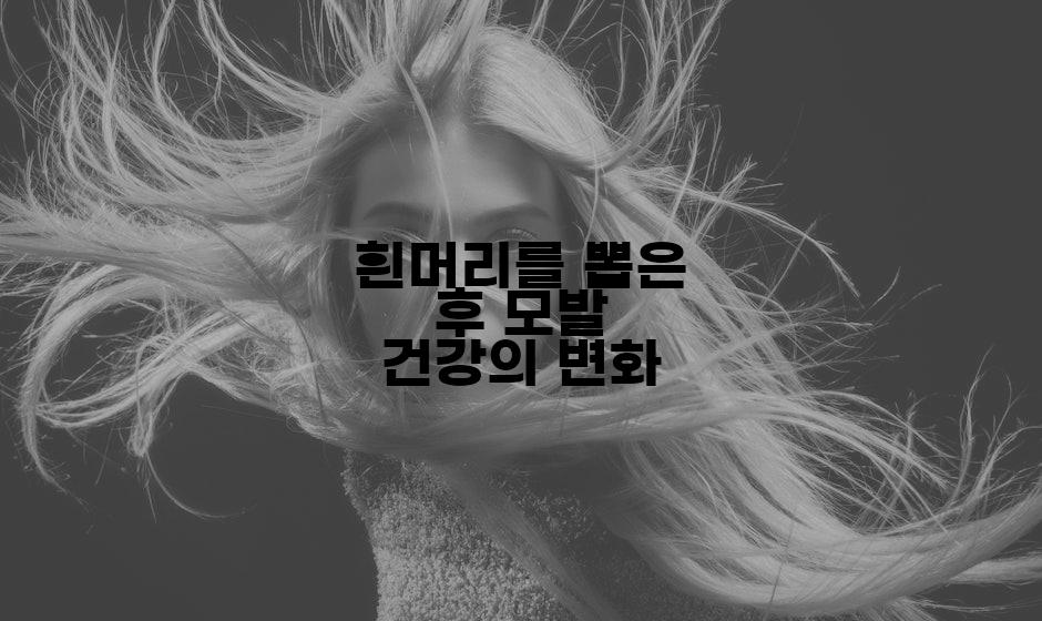 흰머리를 뽑은 후 모발 건강의 변화