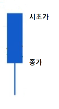 양봉과 음봉