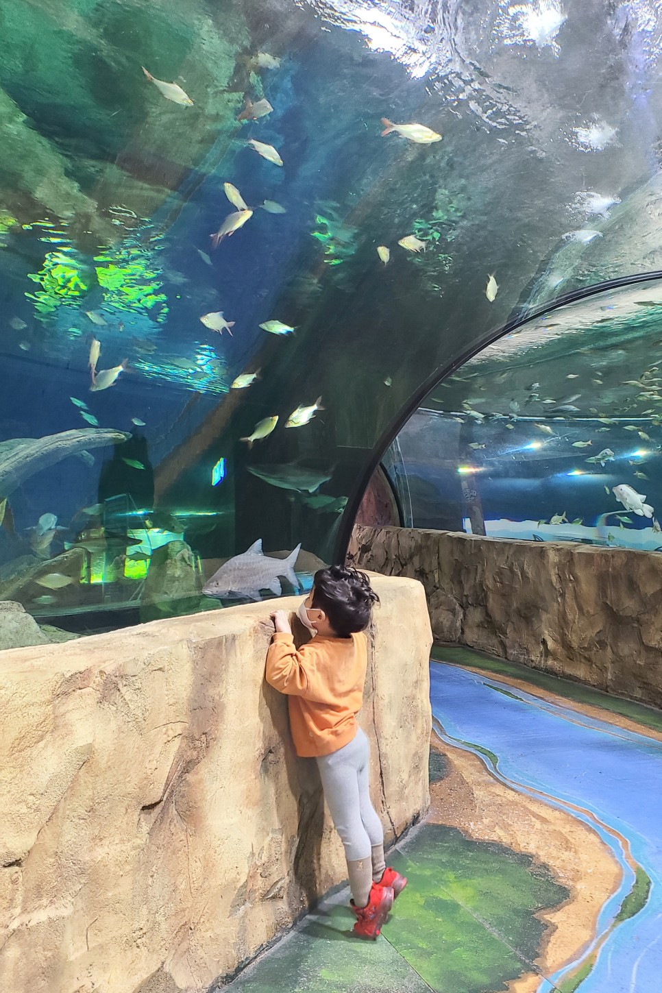 부천 아쿠아리움 부천 아쿠아리움먹이주기 체험 24