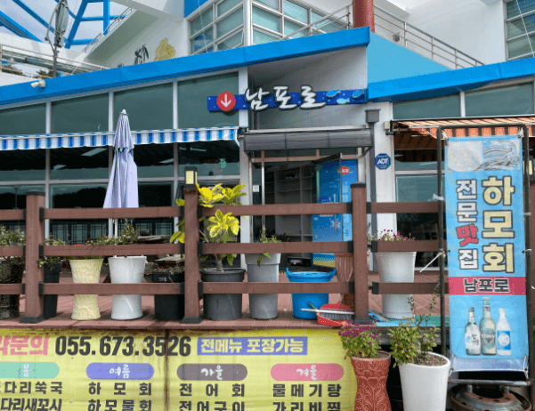 [6시 내고향] 고성 갯장어 맛집 남포항 남포로횟집 정보