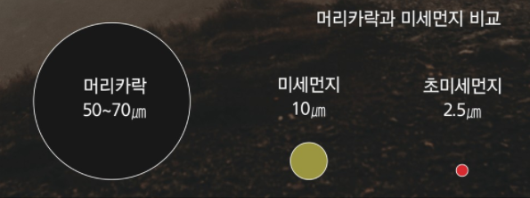  미세먼지의 위험도 및 미치는 영향