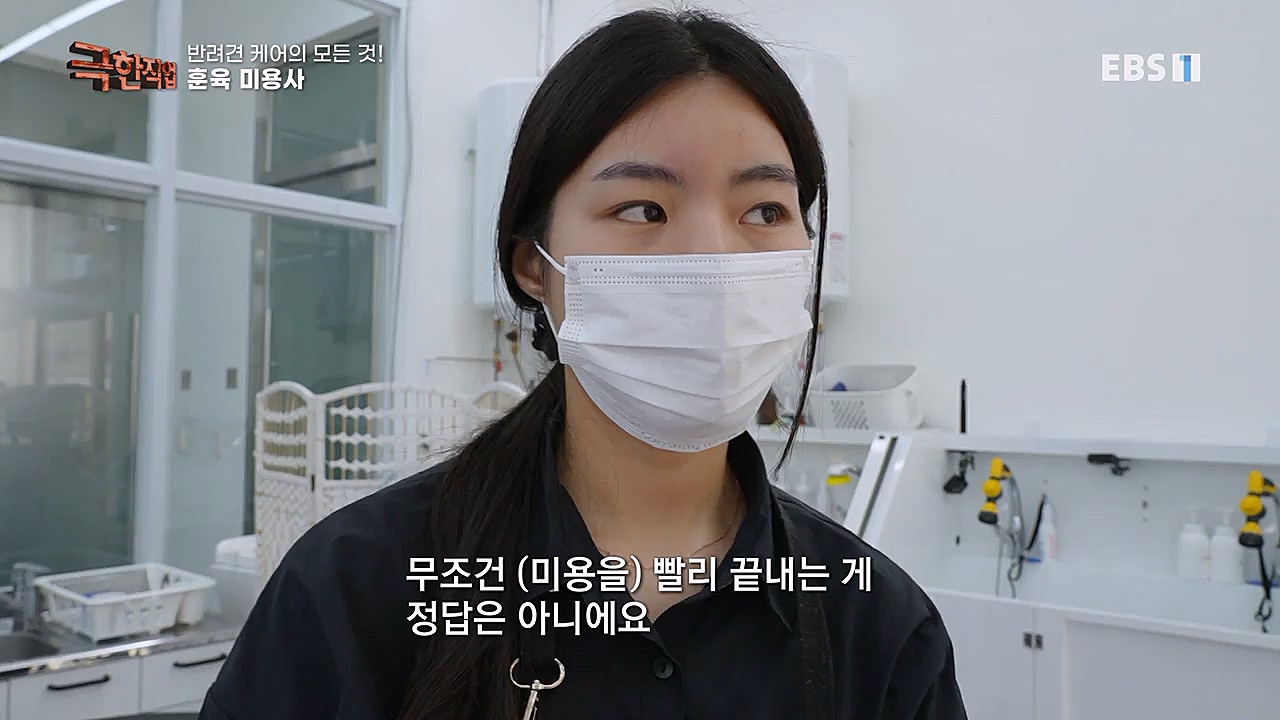 TV - 교육의 중심 EBS반려견 케어의 모든 것!.mp4_20230326_164746.982.jpg