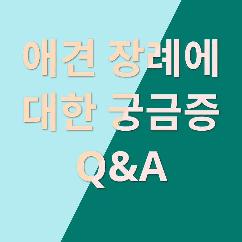 애견장례_4