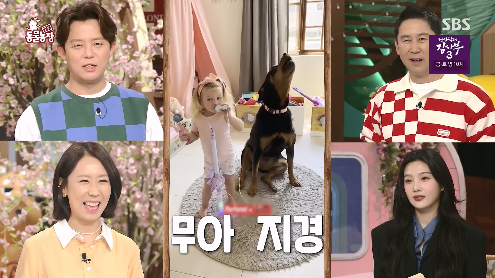 TV 동물농장.E1118.230430p.H264-F1RST.mp4_20230430_172333.977.jpg