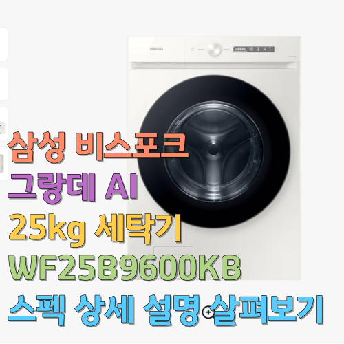  삼성 비스포크 그랑데 AI 25kg 세탁기 WF25B9600KB 스펙 상세설명 살펴보기
