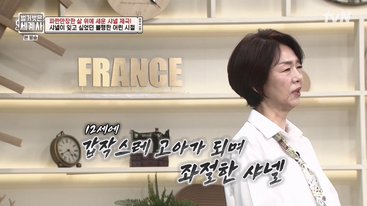 벌거벗은 세계사.E110.230802p-NEXT.mp4_20240217_190945.147.jpg