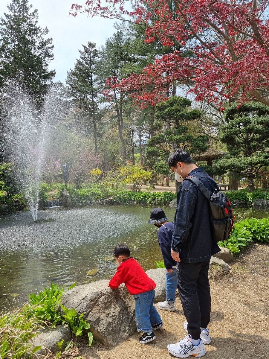 남이섬 배시간표 남이섬 배시간표, 할인 방법, 96