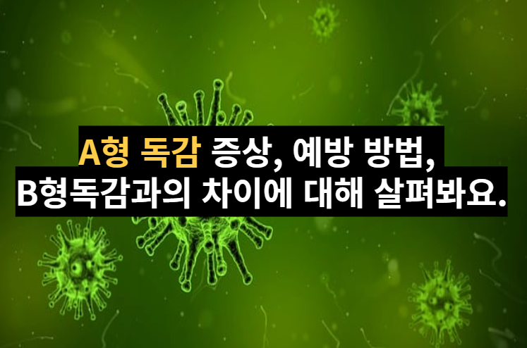  [건강정보] A형 독감 증상 및 예방 방법, B형 독감 차이