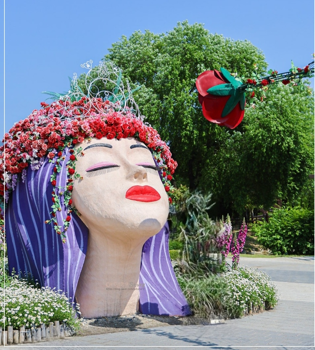 곡성세계장미축제