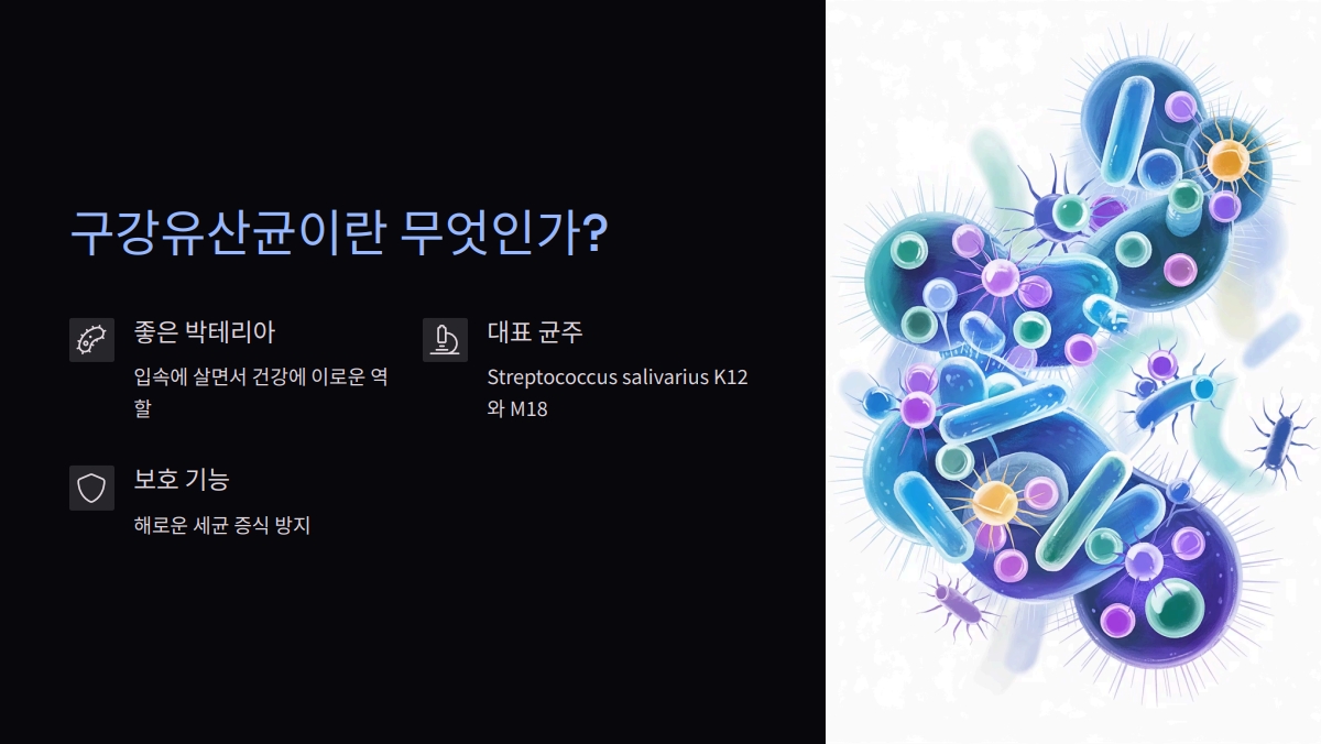 구강유산균 효과