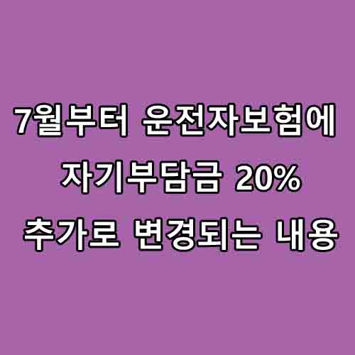  7월부터 운전자보험에 자기부담금 20% 추가로 변경되는 내용