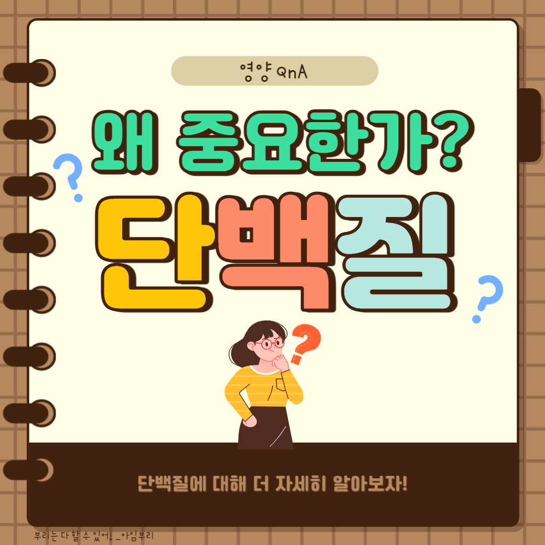  도대체 단백질! 단백질! 하는 이유는 무엇일까? _ 단백질 Q&A 총정리