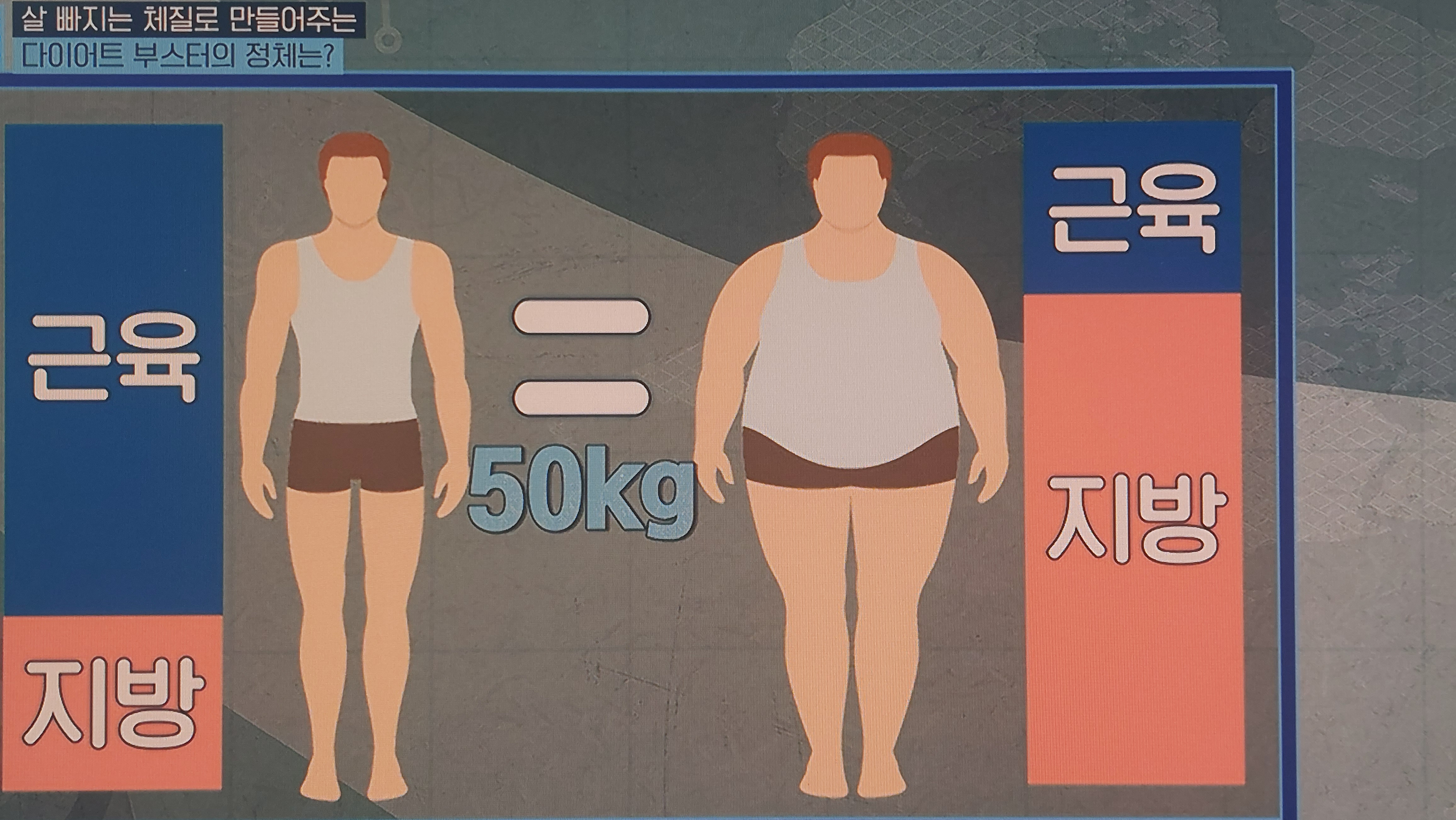 L-카르니틴