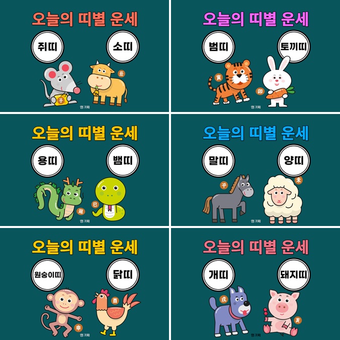 오늘의 띠별 운세 종합 썸네일