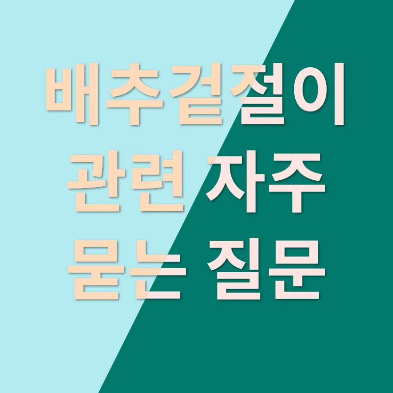 배추겉절이 레시피_4