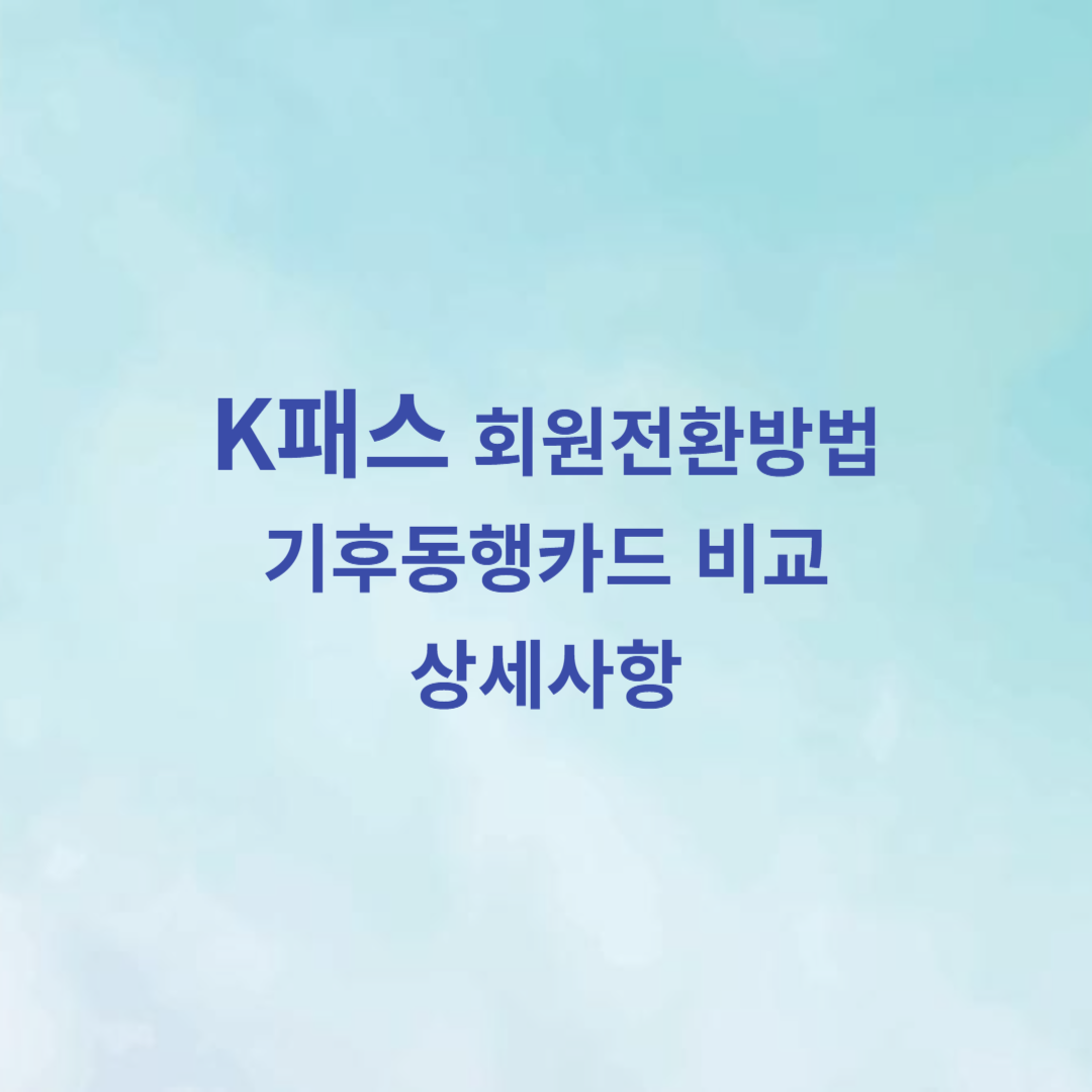 K패스