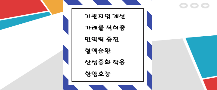  배 도라지청 만드는 방법