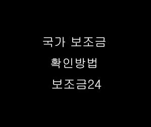  국가 보조금 조회 확인방법 보조금24