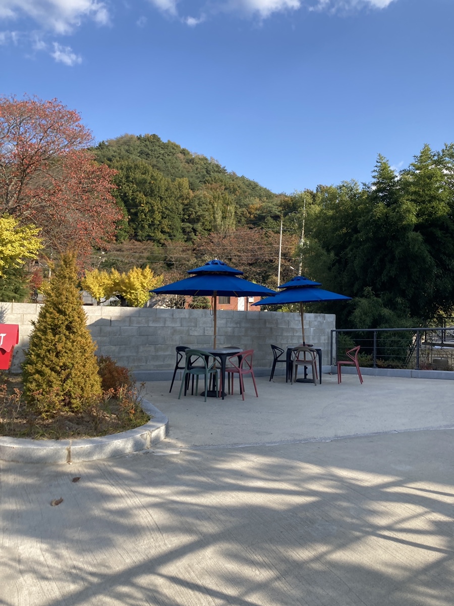 빠라디카페 이미지