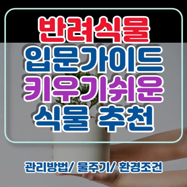 반려식물-포스팅-썸네일