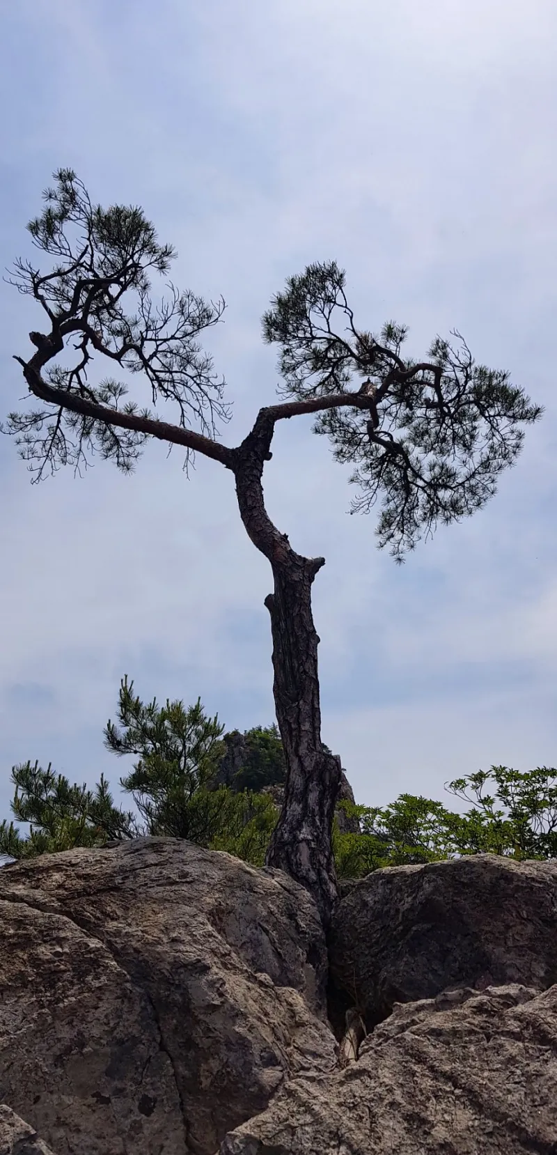 청도 쌍두봉