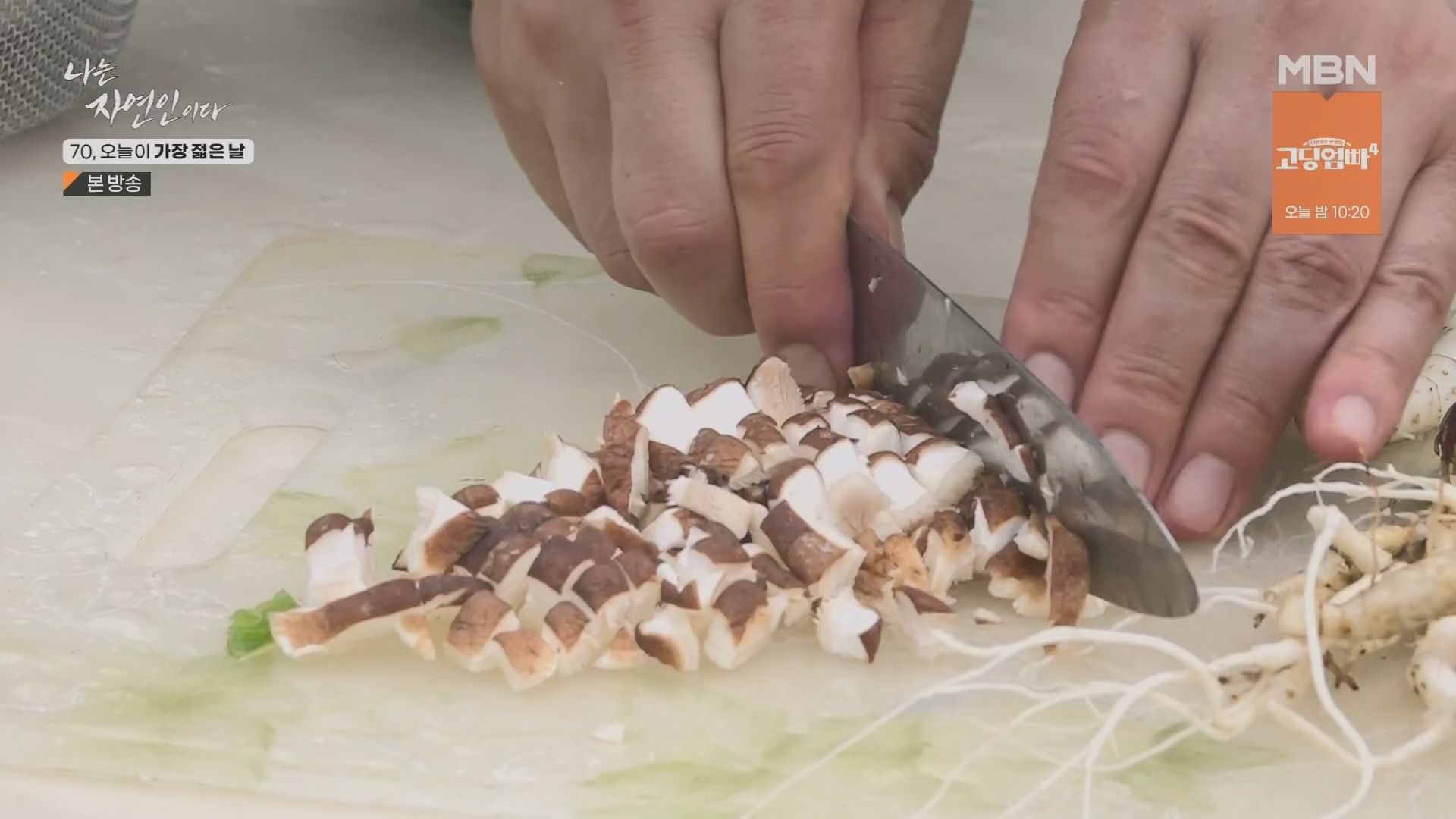 나는 자연인이다.E565.230802p.H264-F1RST.mp4_20230803_203405.368.jpg