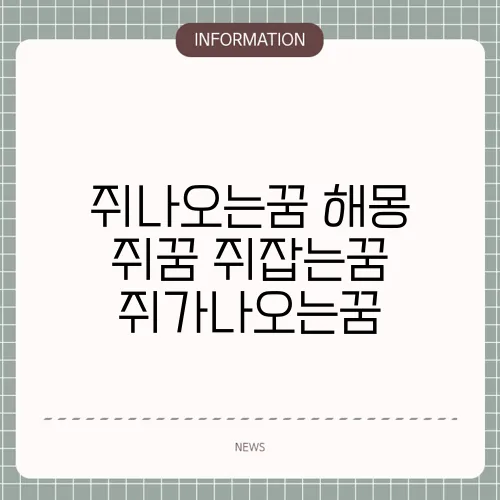 쥐나오는꿈 해몽 쥐꿈 쥐잡는꿈 쥐가나오는꿈