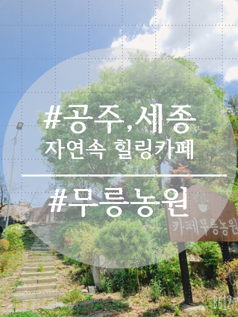 카페무릉농원 이미지