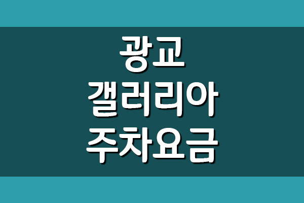  광교 갤러리아 백화점 주차 요금