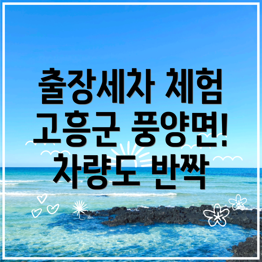 고흥군 출장세차